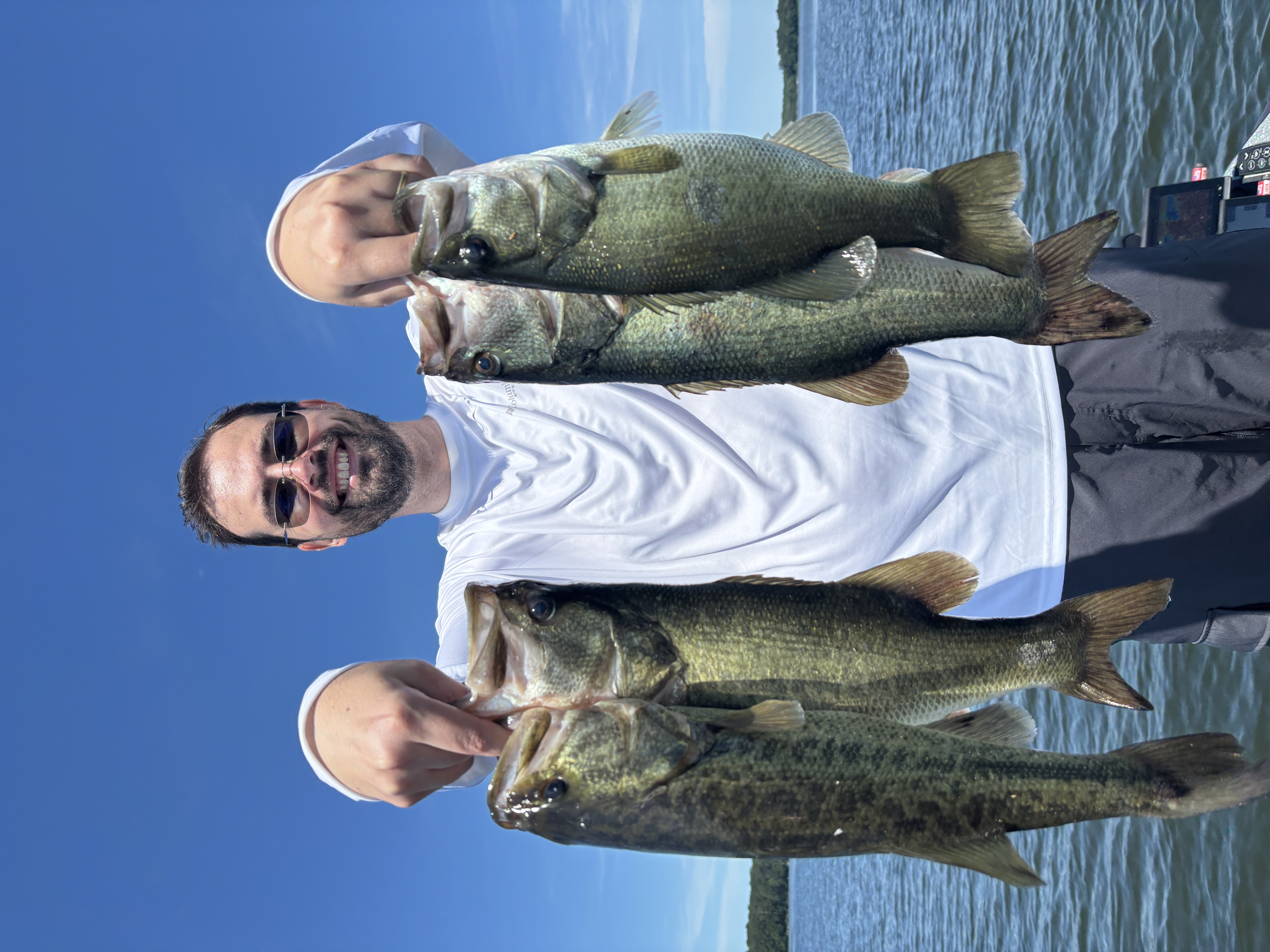 Angler displaying multiple bass caught fishing in Willis TX
