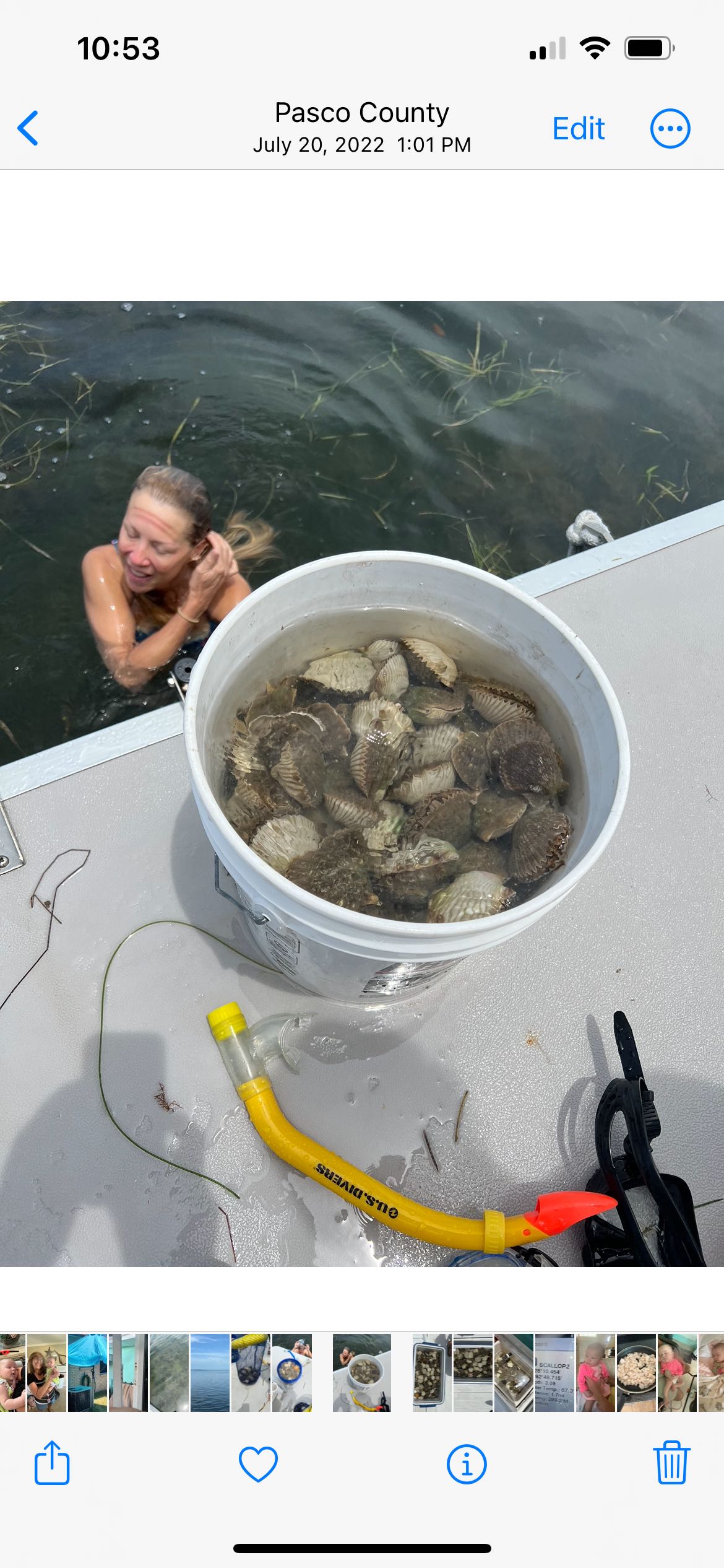 Anglers fishing in FL