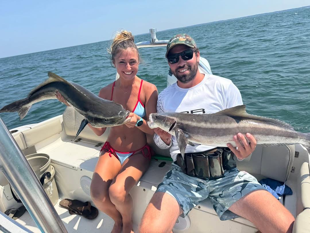 Two cobia caught during fishing trip on boat in Virginia Beach waters
