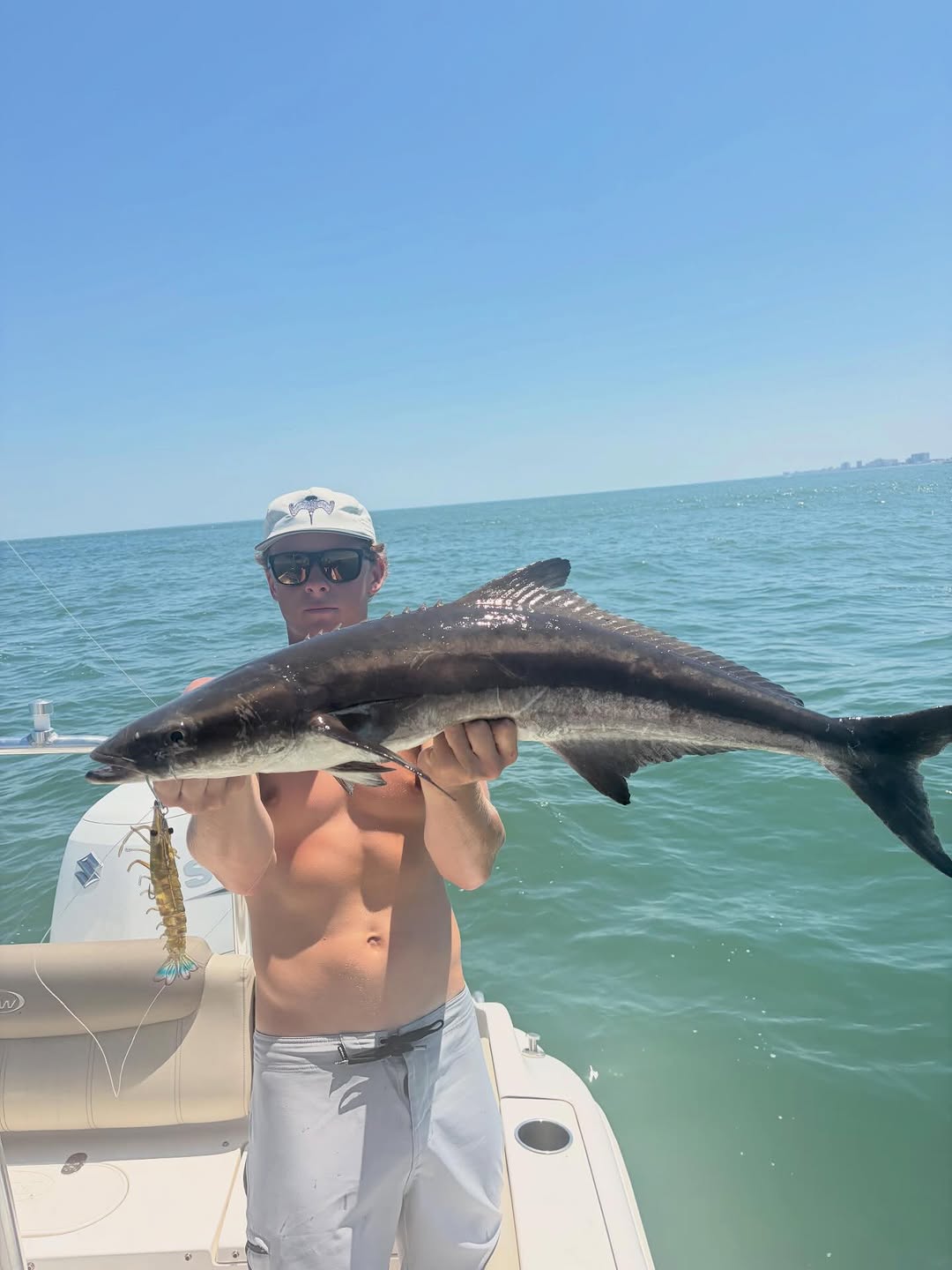 Cobia catch on fishing boat in Virginia Beach VA waters