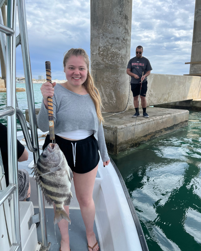 Sheepshead fish caught on Okaloosa Island