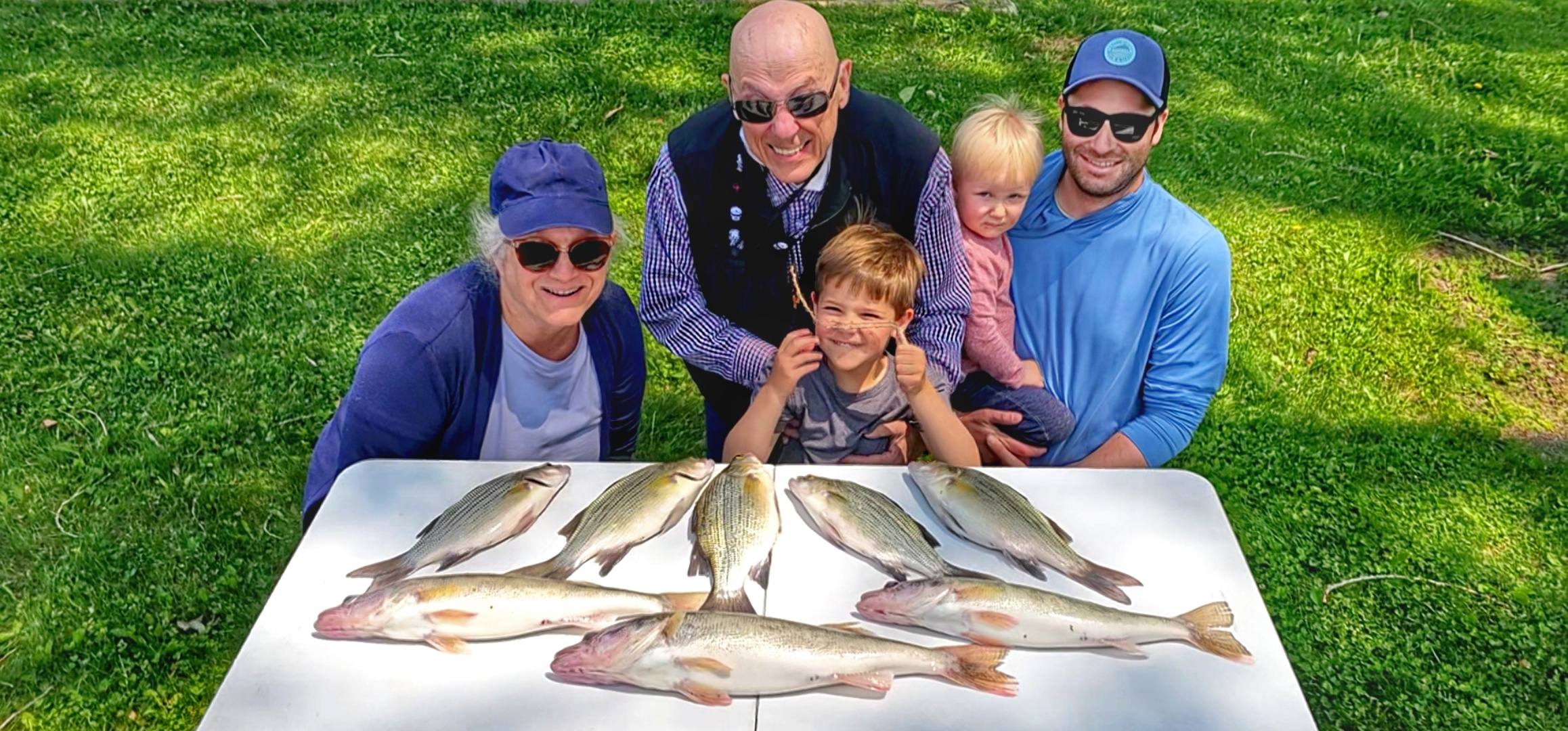 Fresh caught walleye and striped bass displayed on cleaning table after successful fishing trip in Waukesha Wisconsin