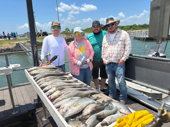 Large catch of fish displayed on fishing boat dock in Kingston OK