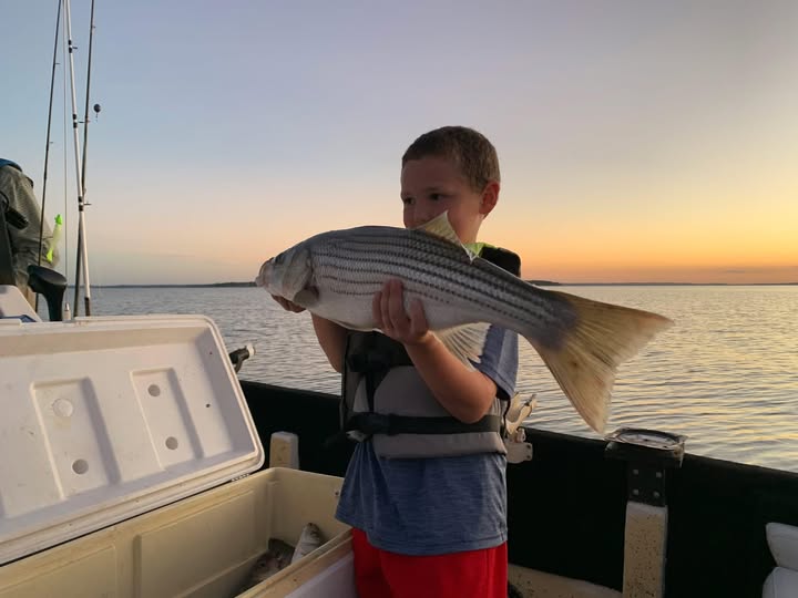 Striped bass catch displayed on fishing boat at Kingston OK during sunset