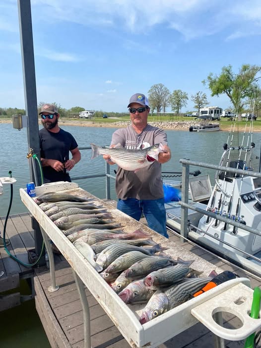 Successful fishing trip in Kingston OK with multiple striped bass displayed in cooler on boat