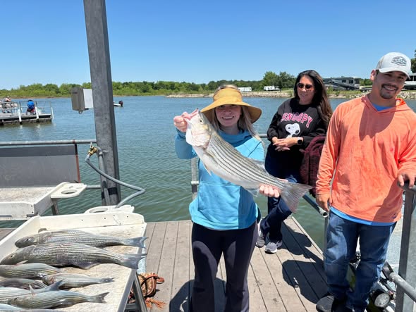 Striped bass fishing success on Kingston Lake Oklahoma with fresh caught fish displayed on dock