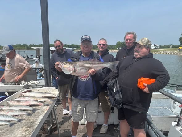Group of anglers displaying caught striped bass on fishing dock in Kingston OK