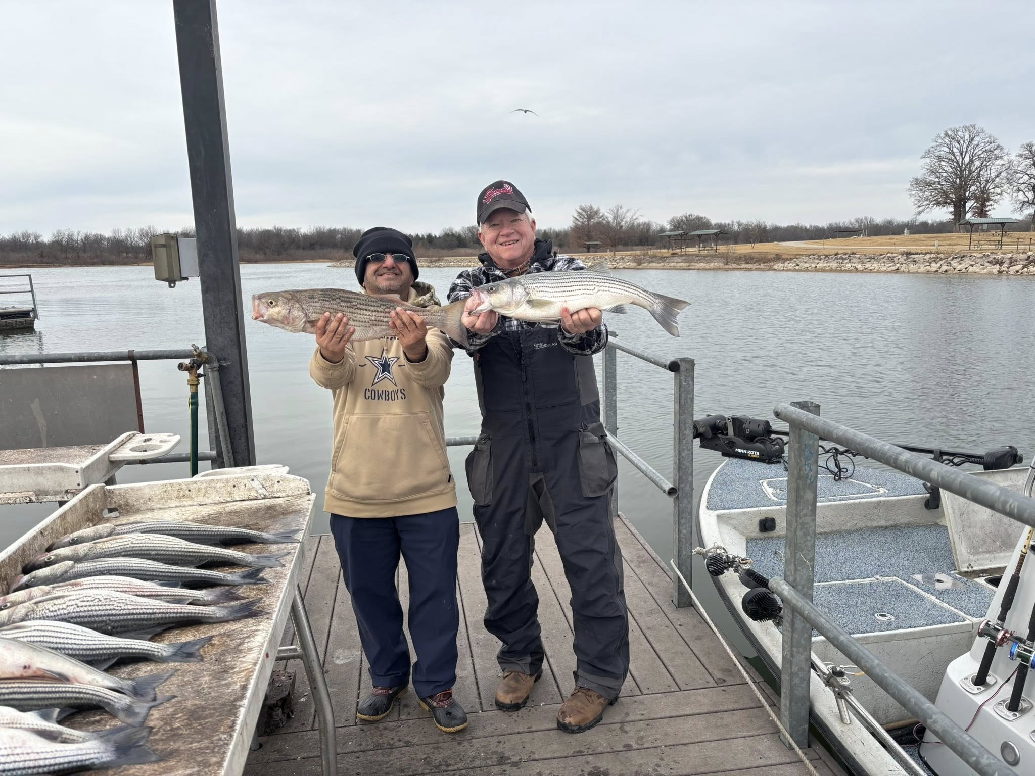 Two anglers displaying freshly caught striped bass on fishing dock in Kingston OK with boat and additional fish visible
