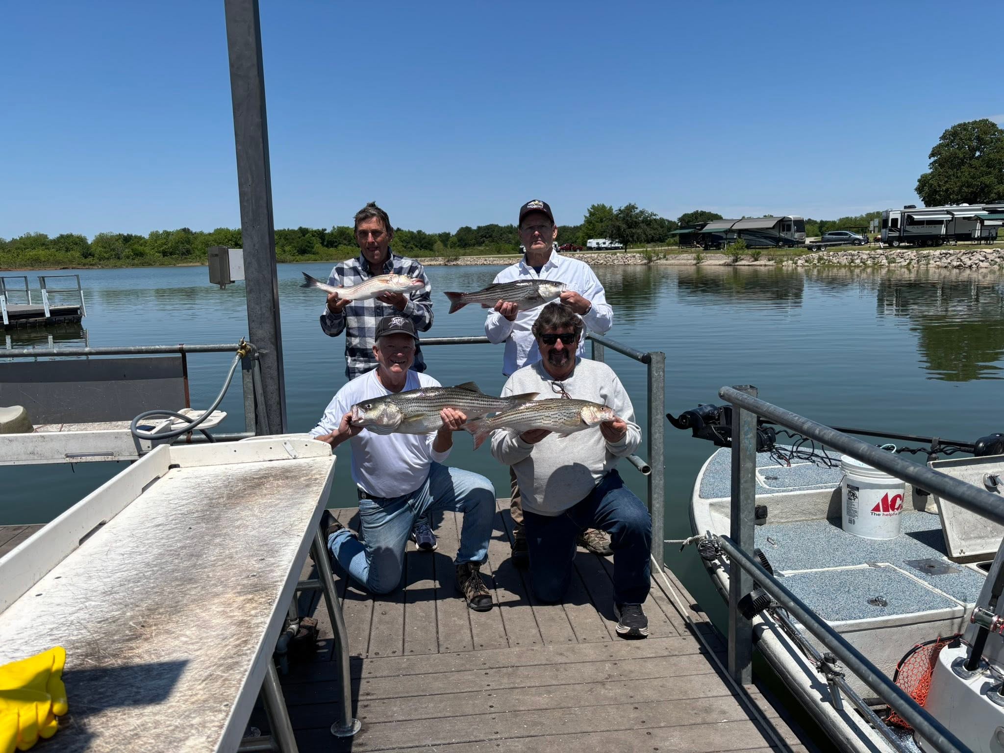 Four anglers displaying fresh caught striped bass on fishing boat dock in Kingston OK
