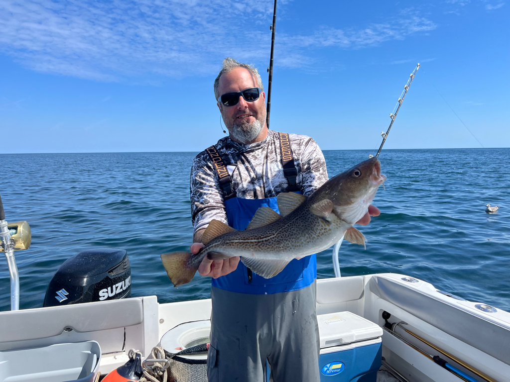fishing of Cod