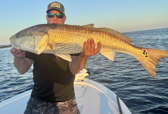 A redfish caught while fishing in Scituate