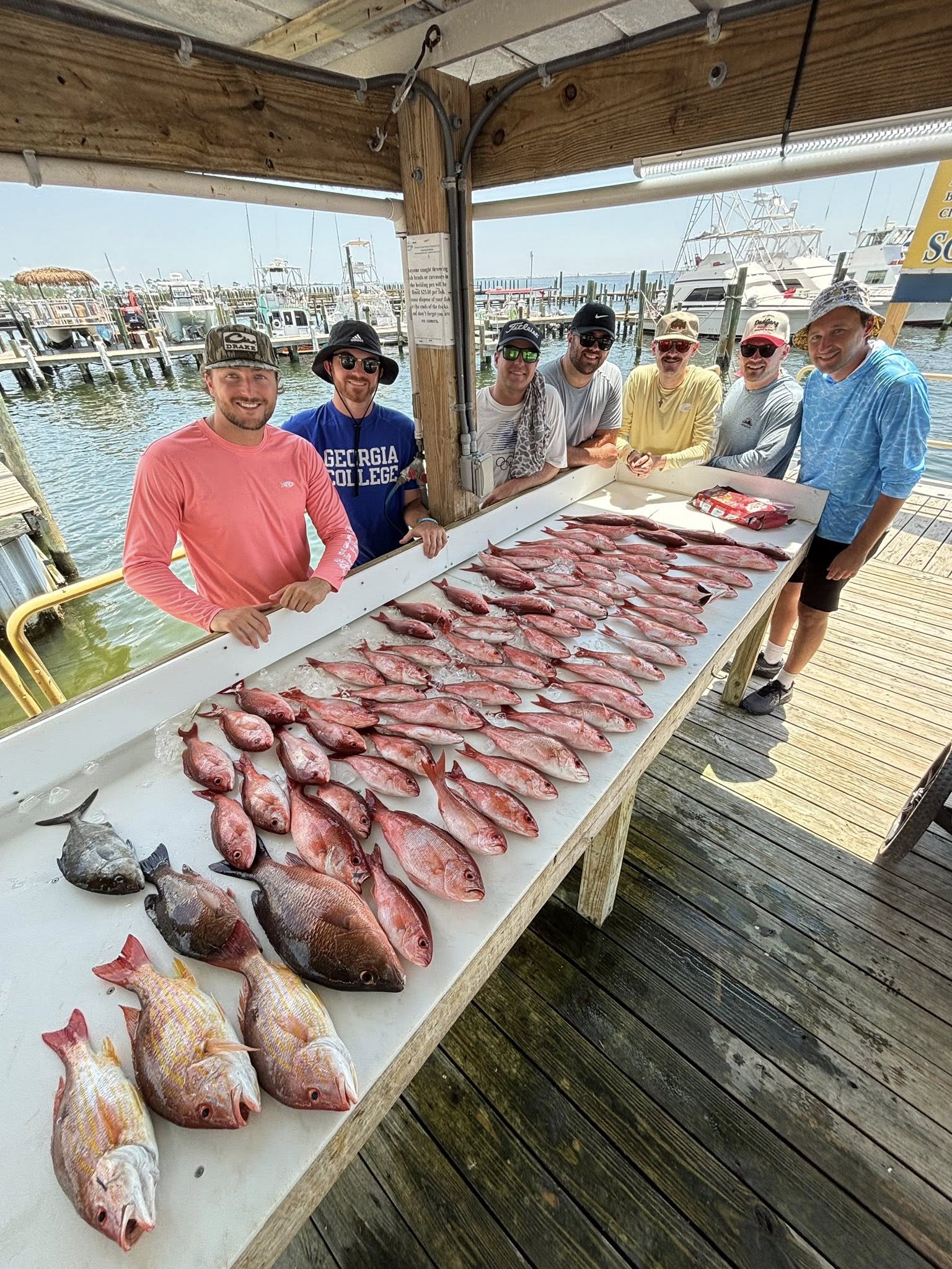 Fresh caught lane snapper displayed on cleaning table at Pensacola FL fishing dock