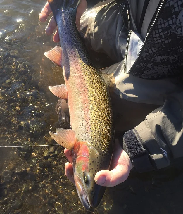 Scenic fishing landscape in Alaska