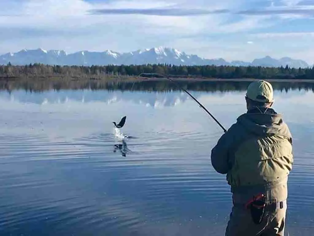 Scenic view of Cordova, Alaska