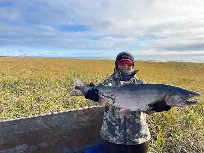Coho salmon caught in AK while fishing