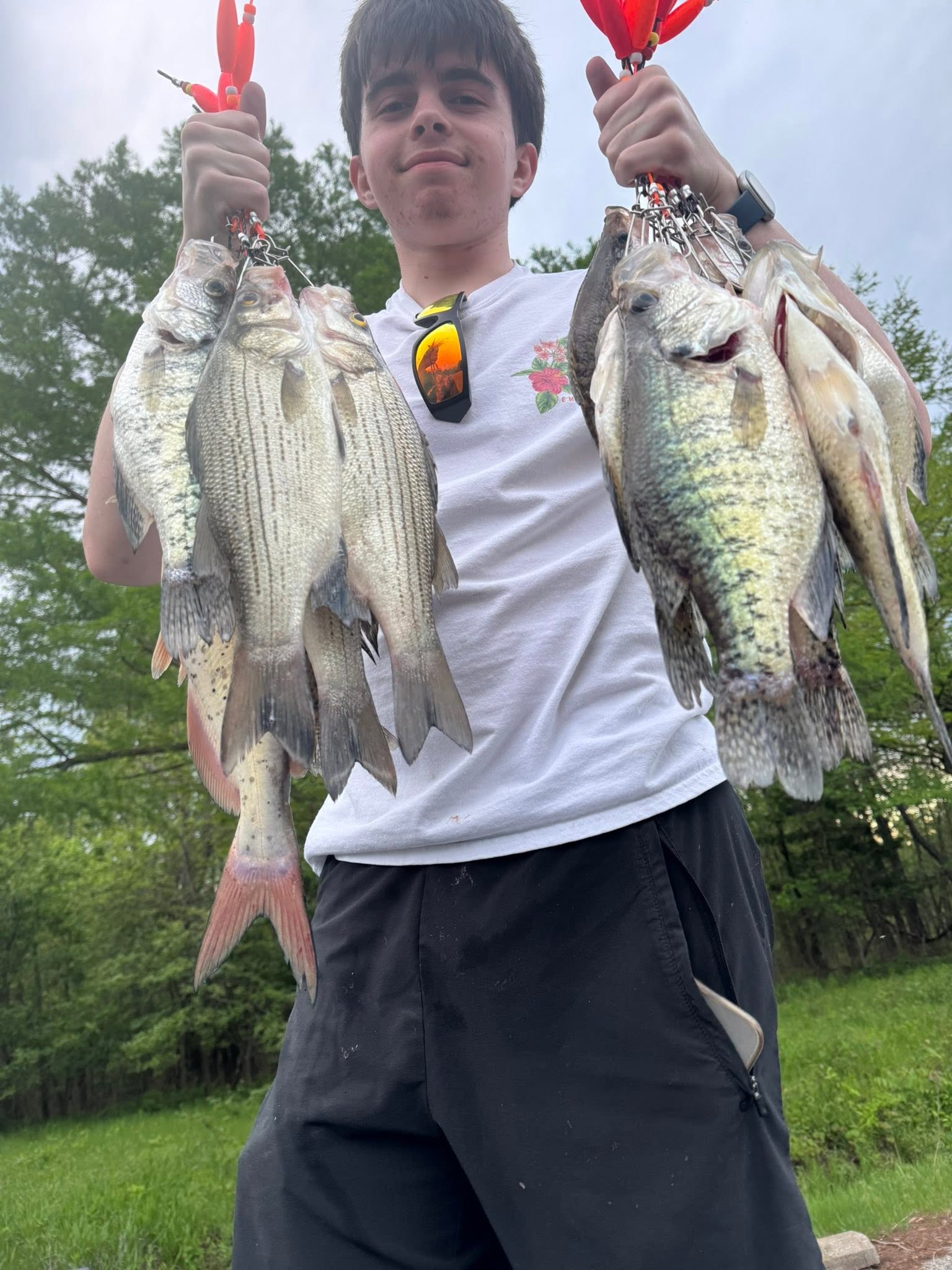 Multiple fish caught on stringers in Bolivar MO fishing trip