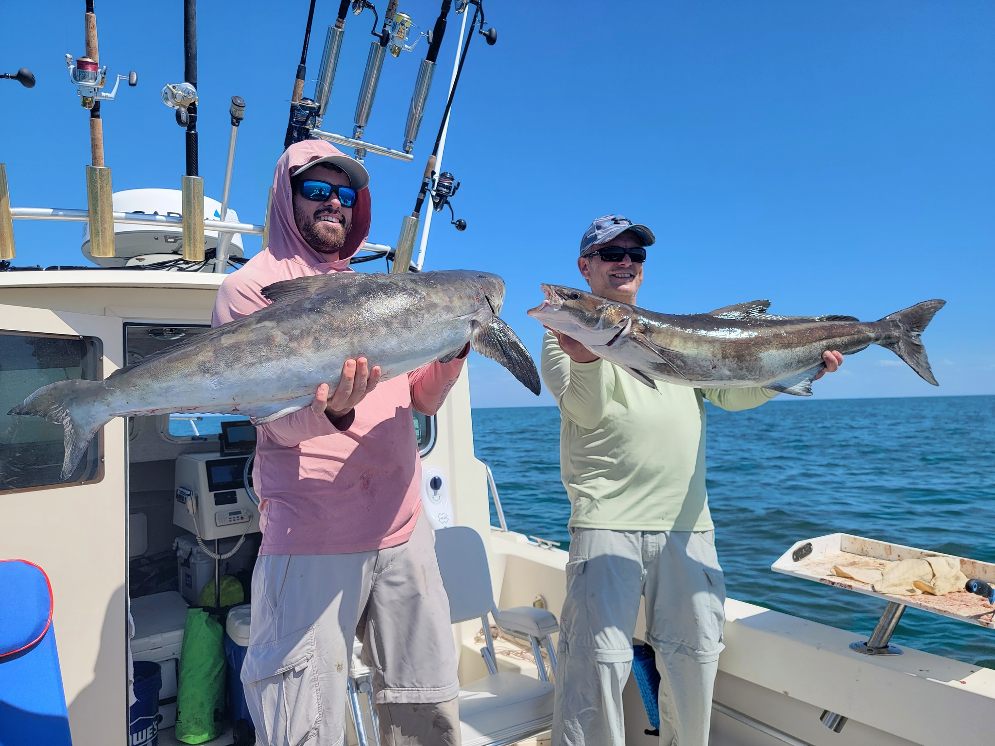 Two cobia fish caught in FL while fishing