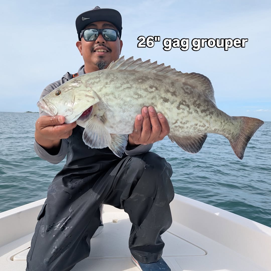 26-inch gag grouper caught fishing in St. Petersburg FL