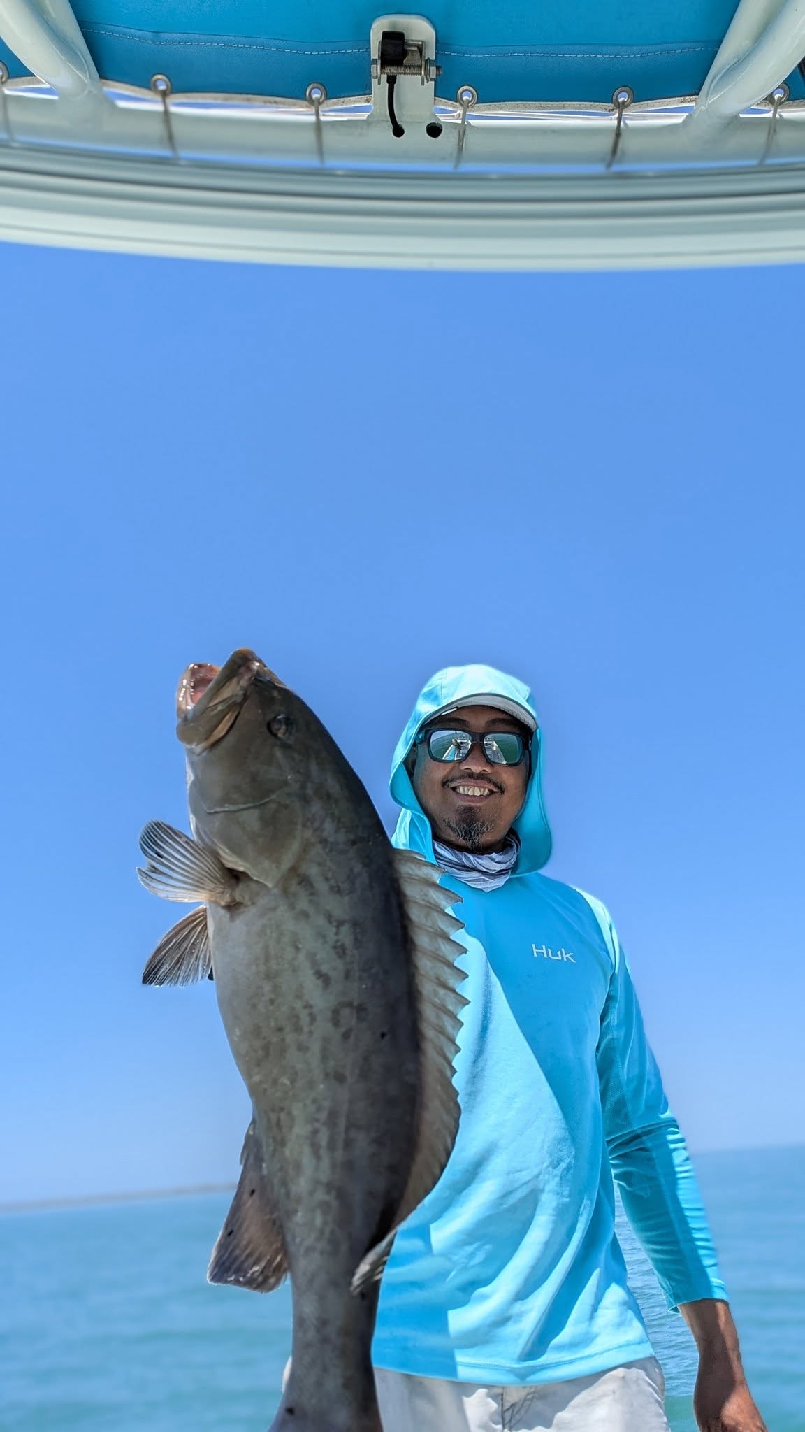Gag grouper catch displayed on fishing boat in St. Petersburg FL