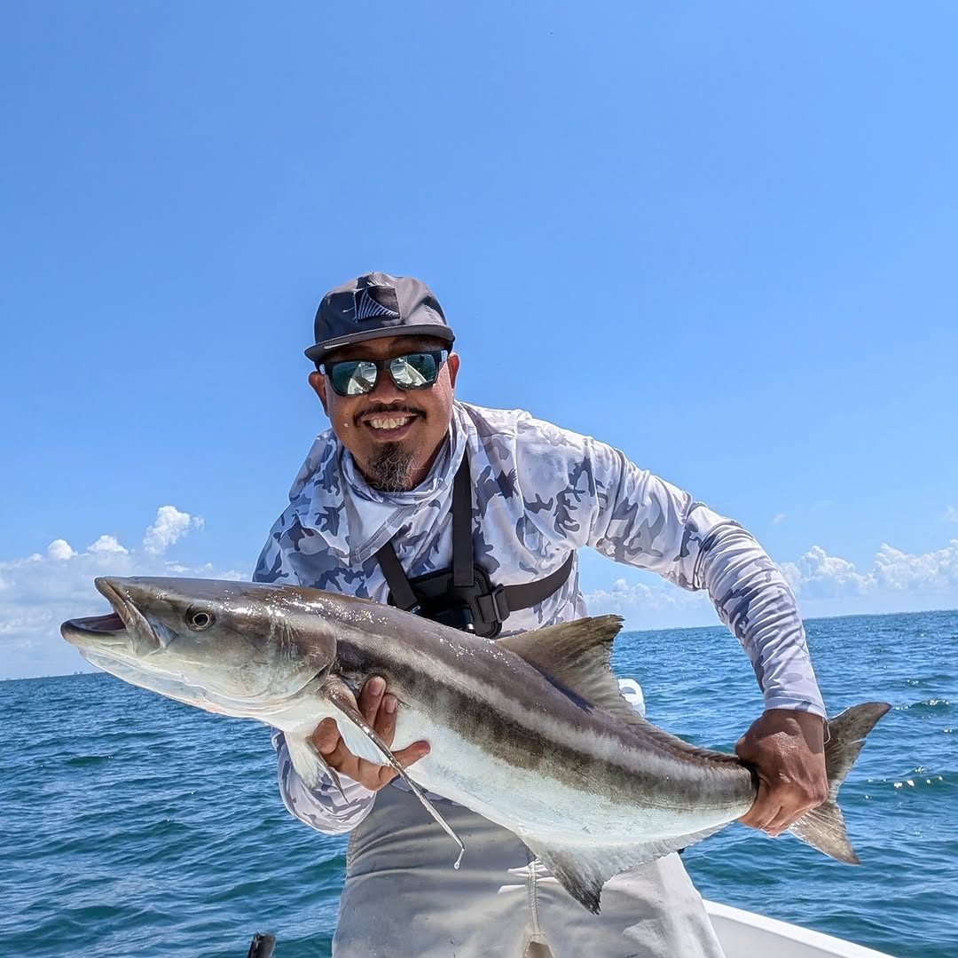 Cobia catch from fishing trip in St. Petersburg FL