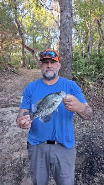 Freshly caught crappie displayed in wooded area near Ludowici GA