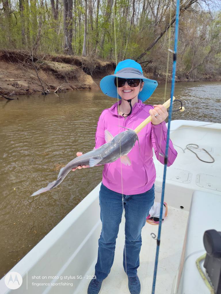 Freshly caught catfish being displayed on fishing boat in Frisco NC