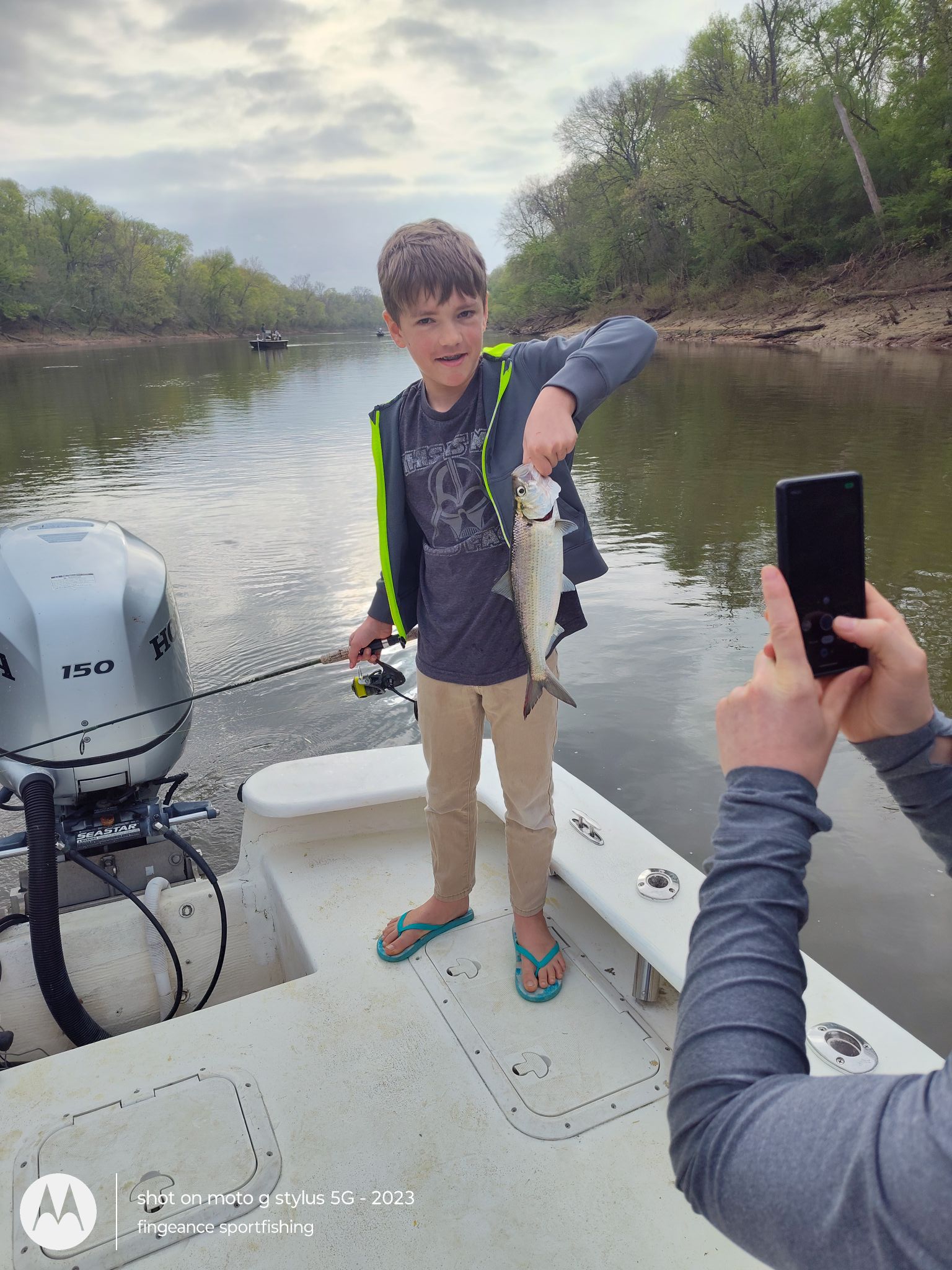 Shad fish catch displayed on boat in Frisco NC waters