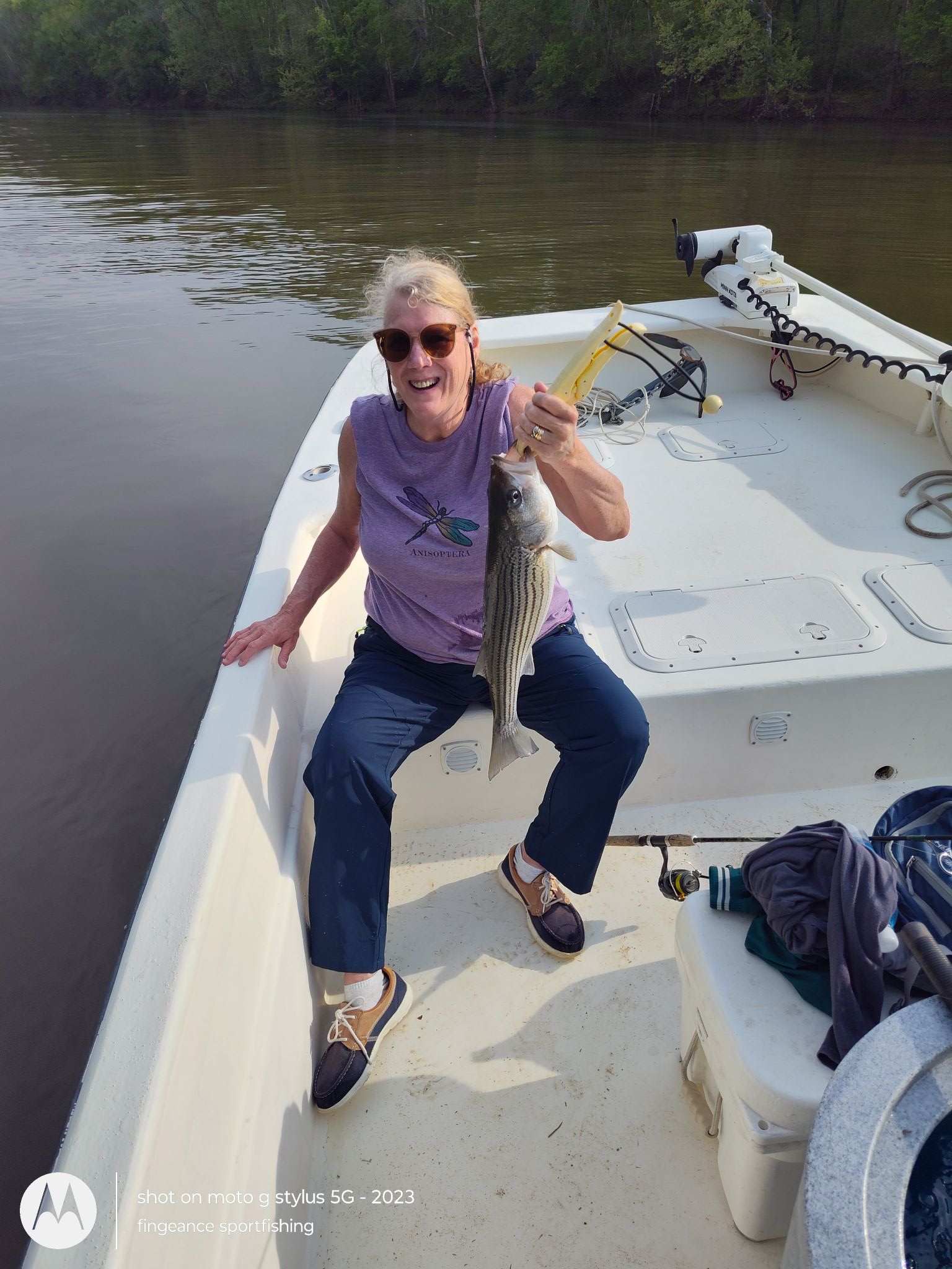 Striped bass caught while fishing in Frisco NC waters from boat