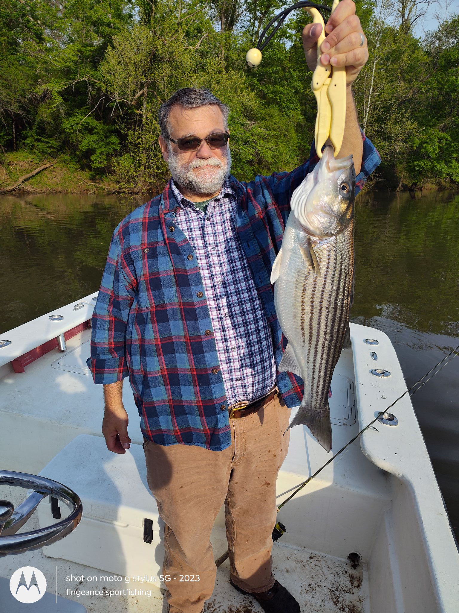 Striped bass caught while fishing in Frisco NC