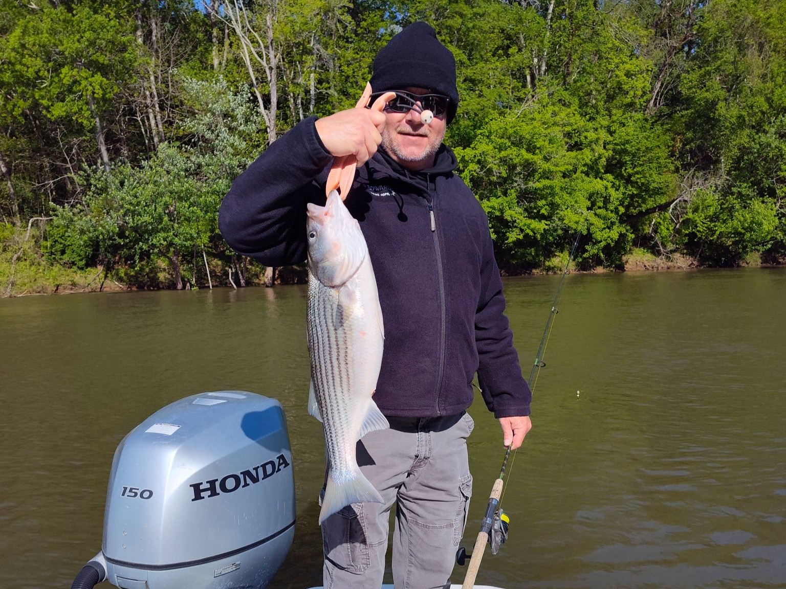 Striper fishing charter boat on river in Weldon NC with Captain Joey VanDyke guide service