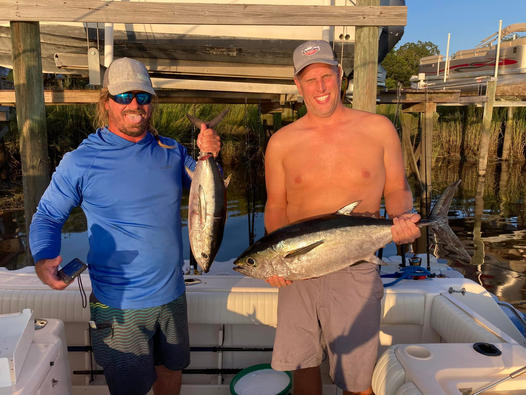 Two greater amberjack fish caught while fishing in SC