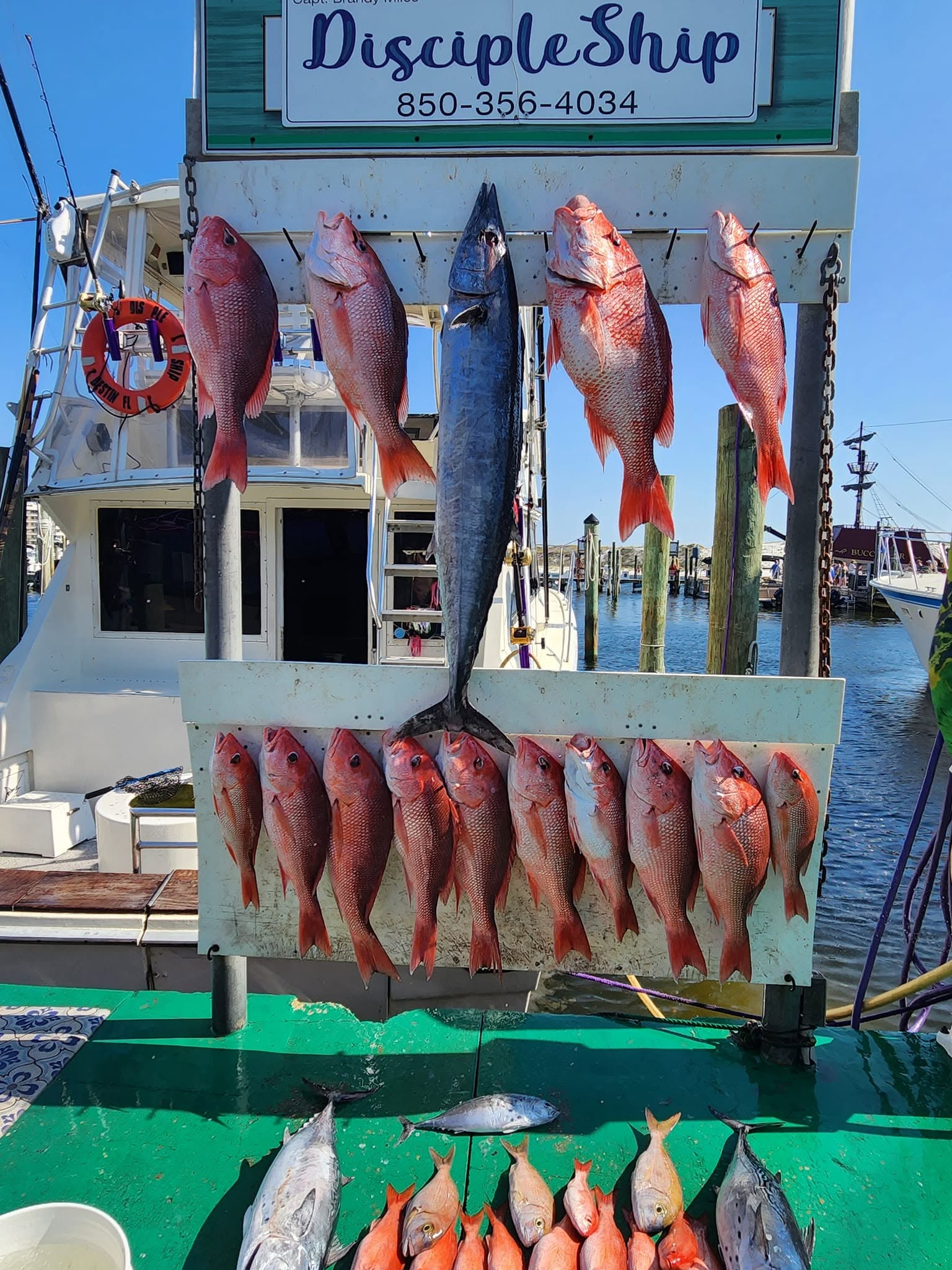 Red snapper, wahoo, and little tunny displayed on fishing charter boat in Destin FL