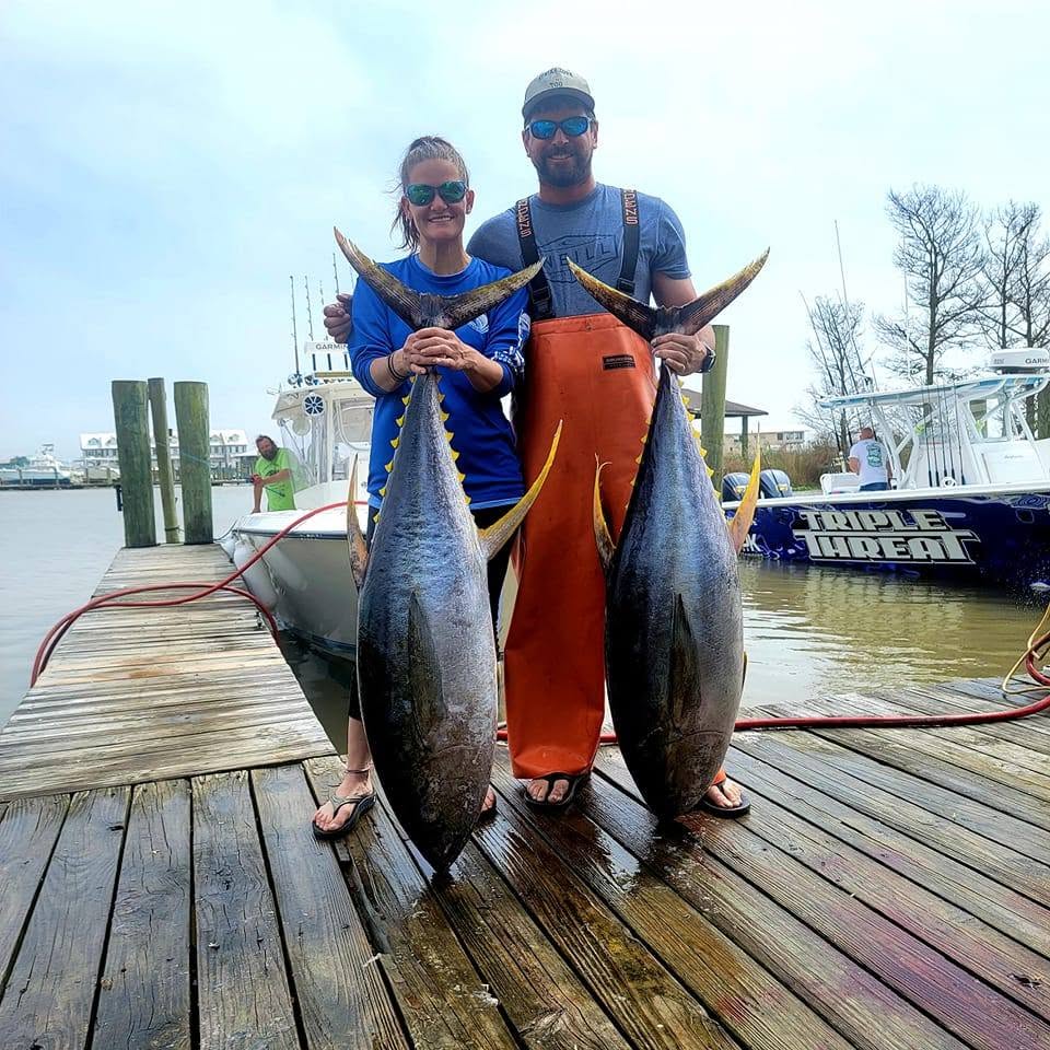 Two large yellowfin tuna displayed on wooden dock in Destin FL after successful fishing trip