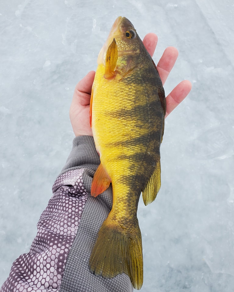 Fishing trip in Minnesota