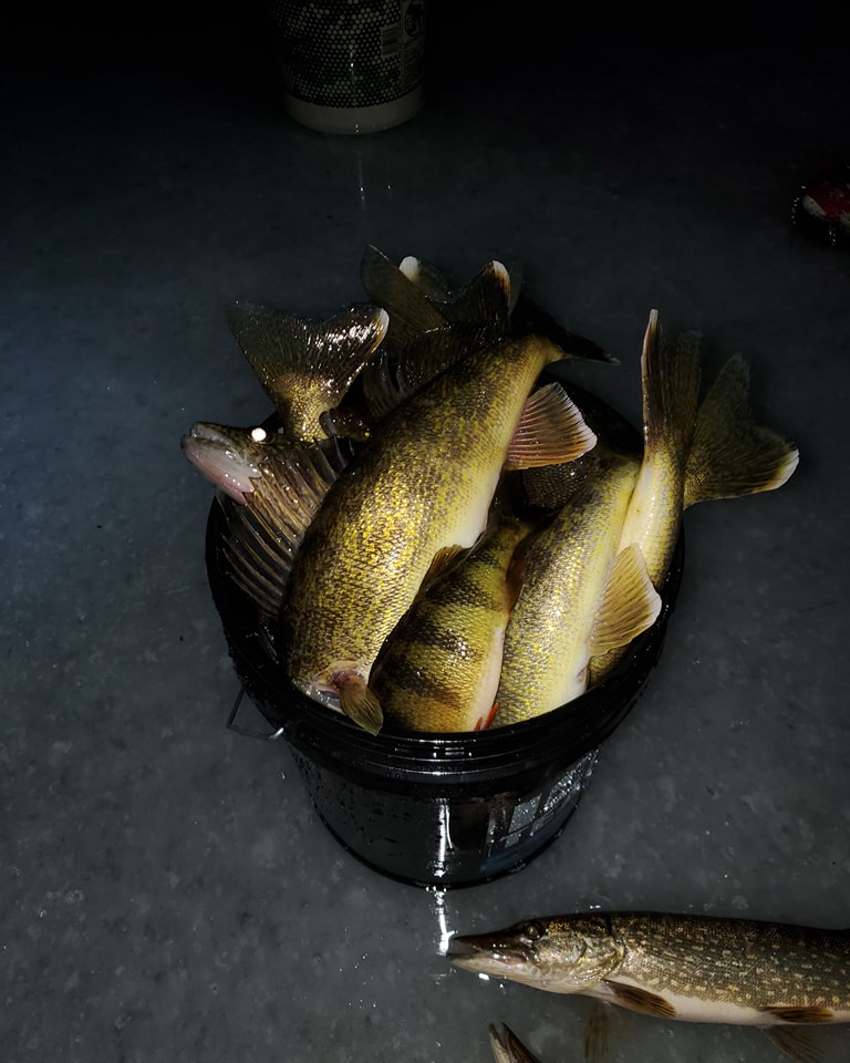 Two fish caught while fishing in Remer