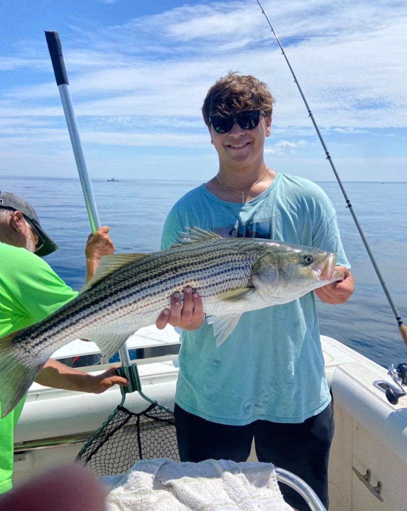 Striped bass caught by fisherman in Dennis