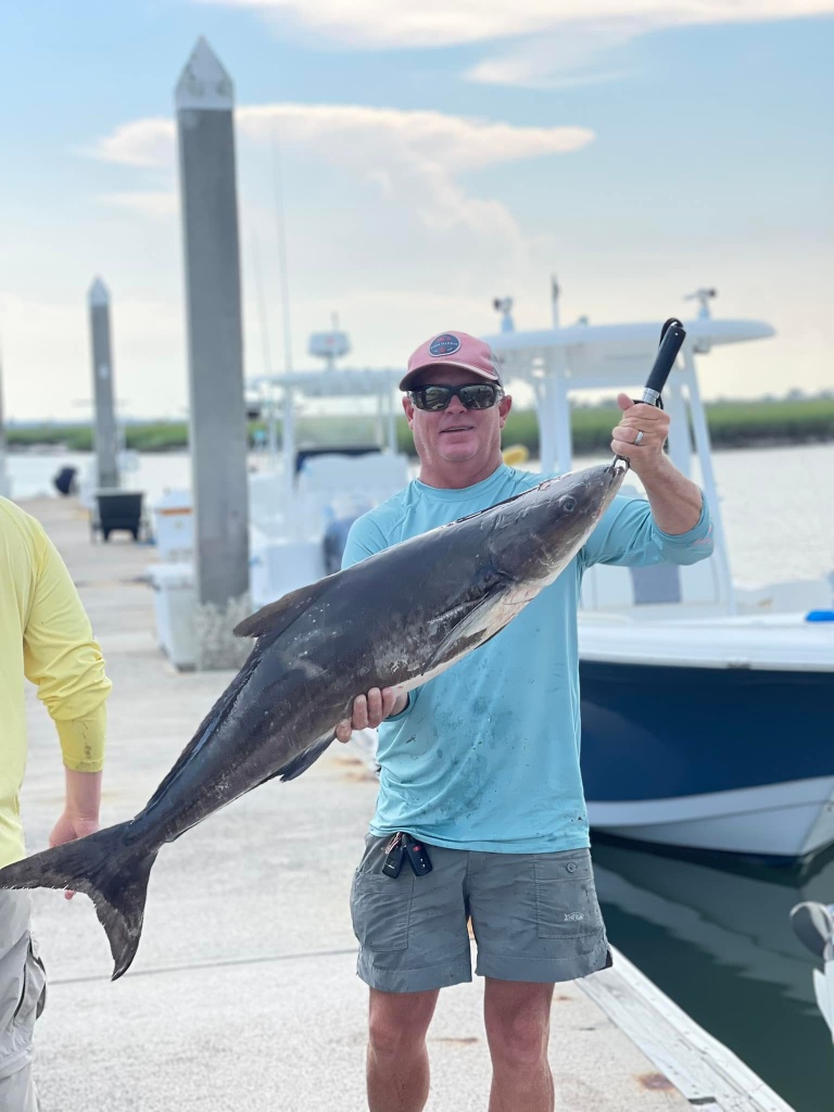 Cobia fish caught by angler in Mt Pleasant