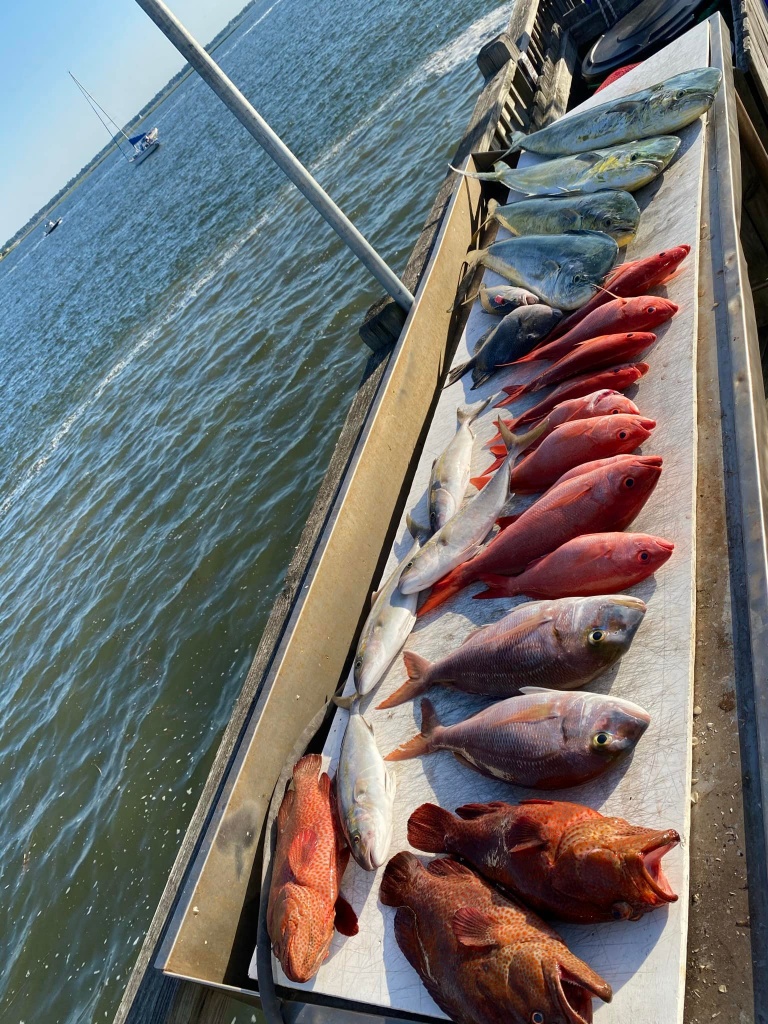 Four fish caught in SC