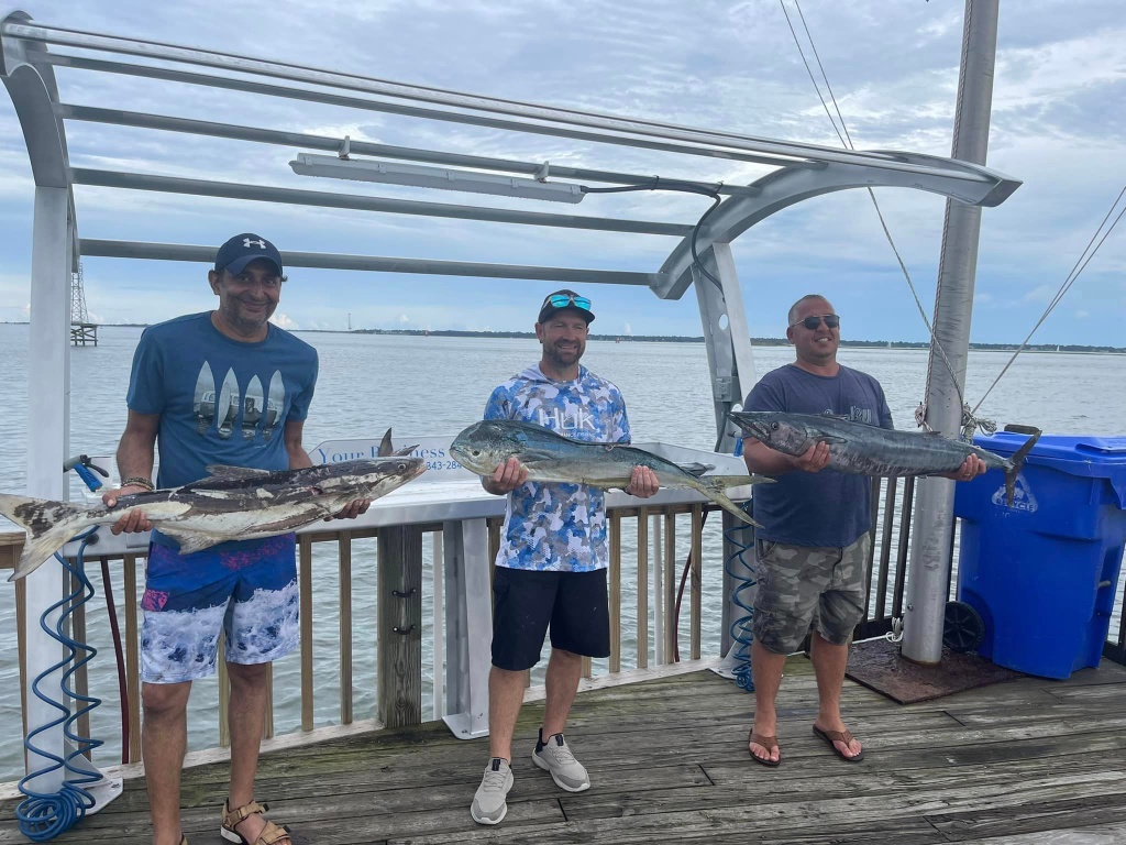 Three cobia fish caught in Mt Pleasant