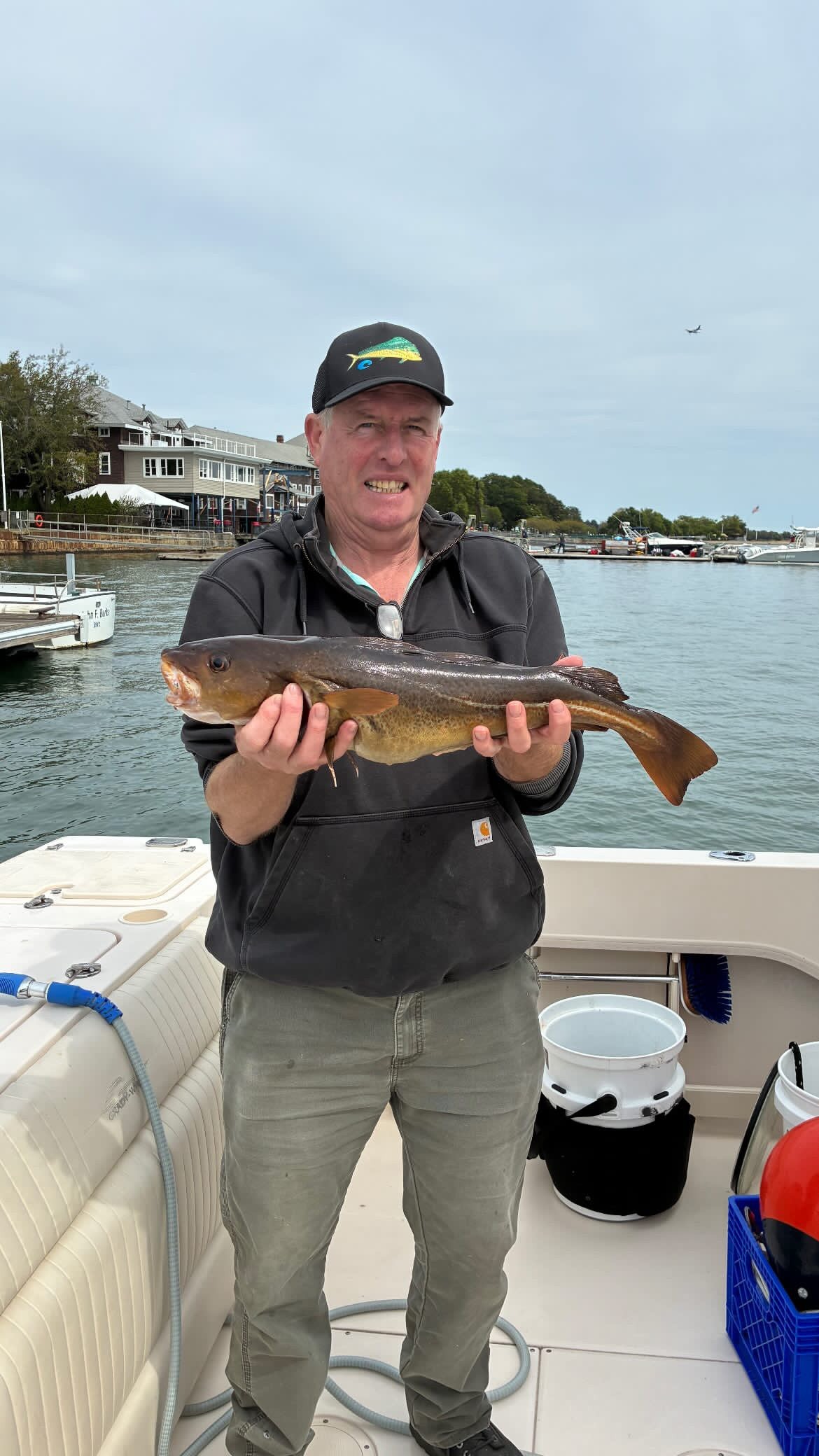 Atlantic cod caught during fishing tour in Boston MA