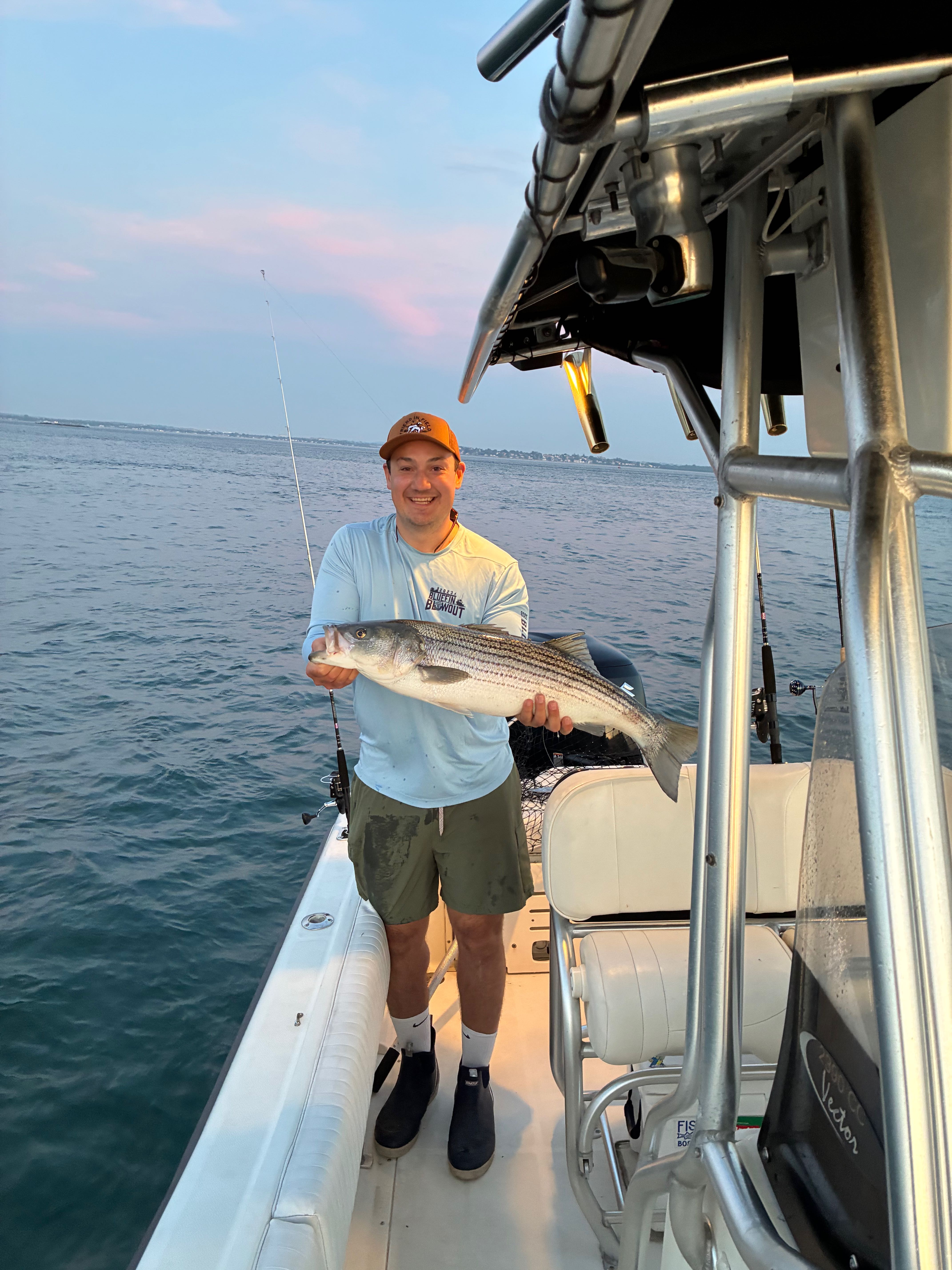 Striped bass catch on fishing boat in Boston MA waters