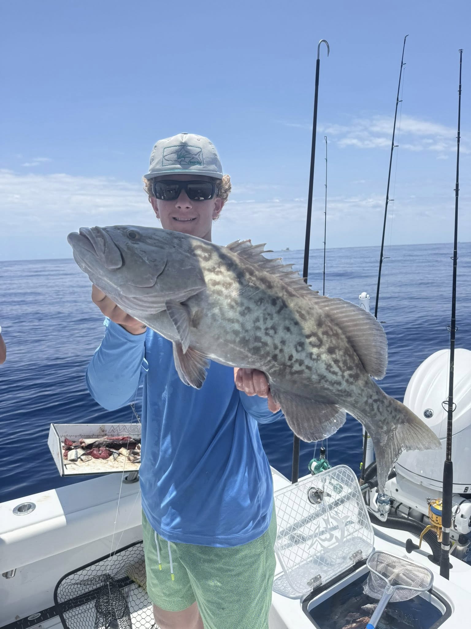 Gag Grouper fish caught while fishing in FL