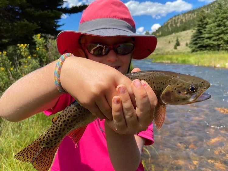 A single sea trout fish caught in Taos