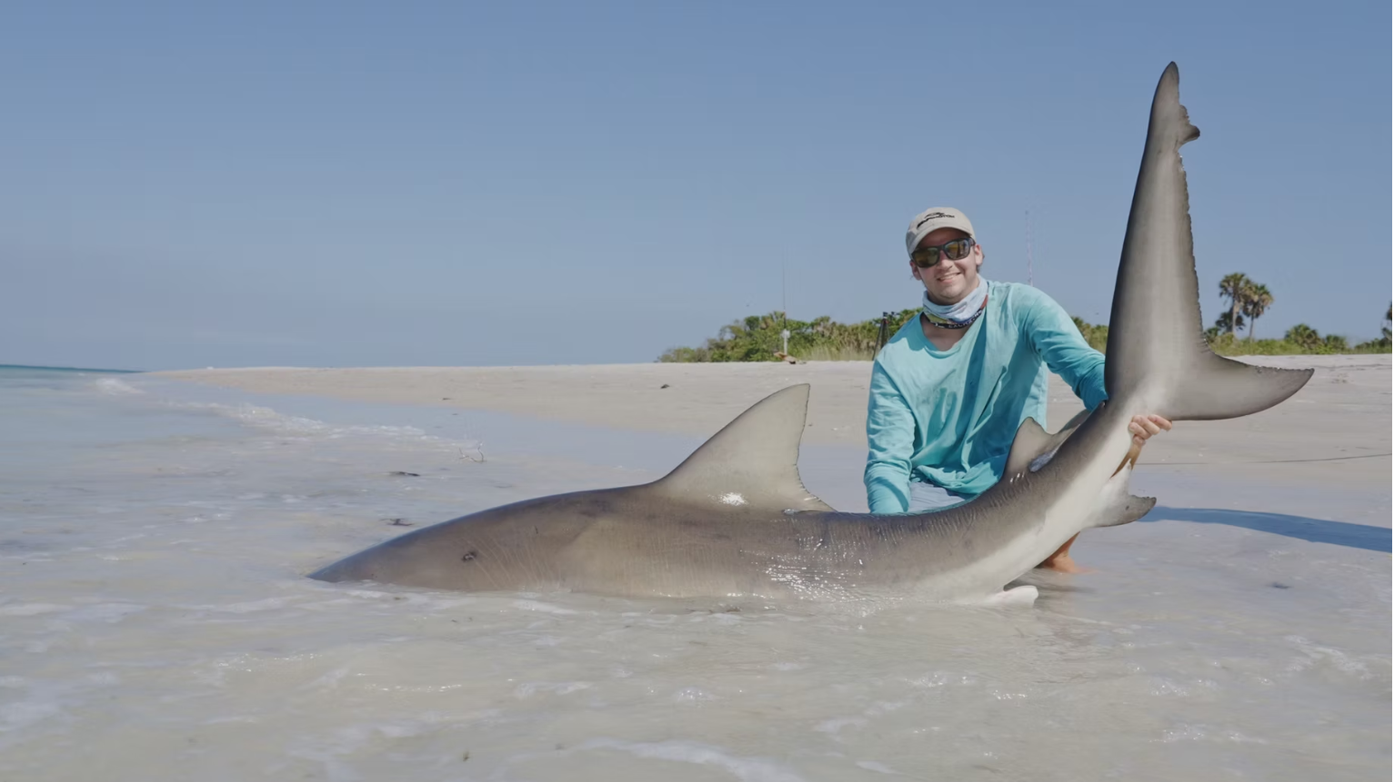 Blacktip shark, 71 inches, caught while fishing at St. Pete Beach