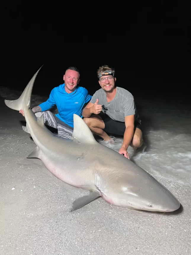 Bull shark, 56 inches, fishing in FL