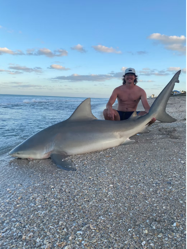 Dusky Smooth-Hound fish caught at St. Pete Beach