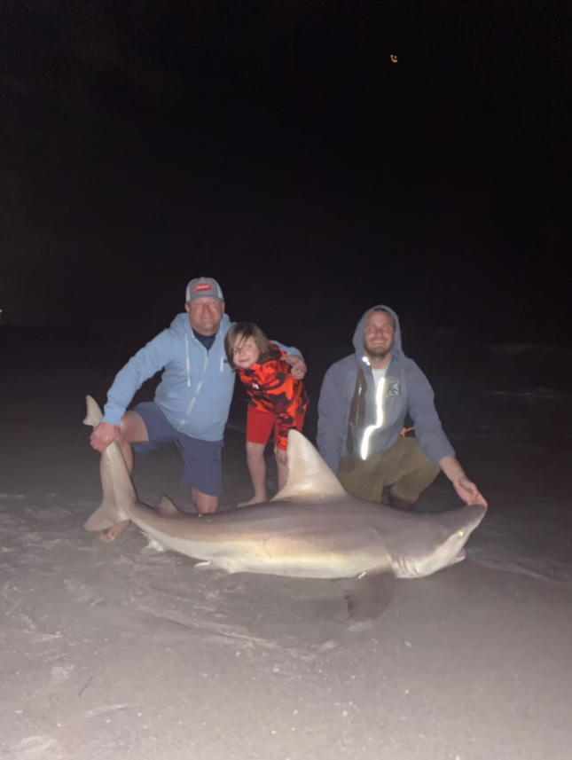 Sandbar shark fish caught while fishing in FL