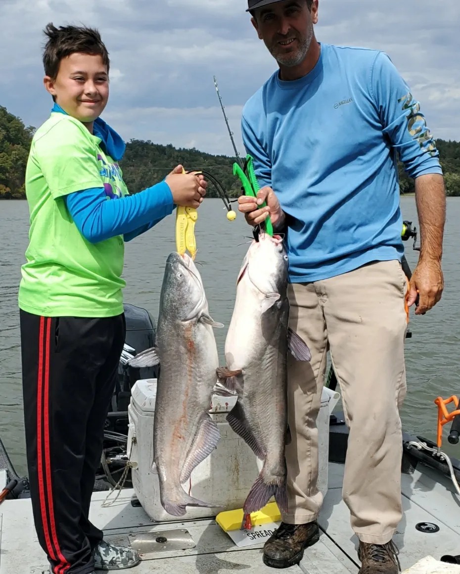 Two blue catfish, 23 inches long, caught in Chattanooga