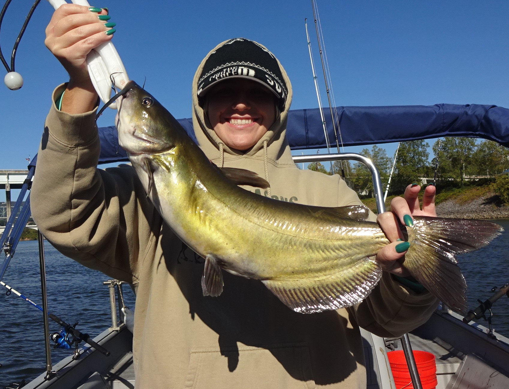 A channel catfish caught in Chattanooga