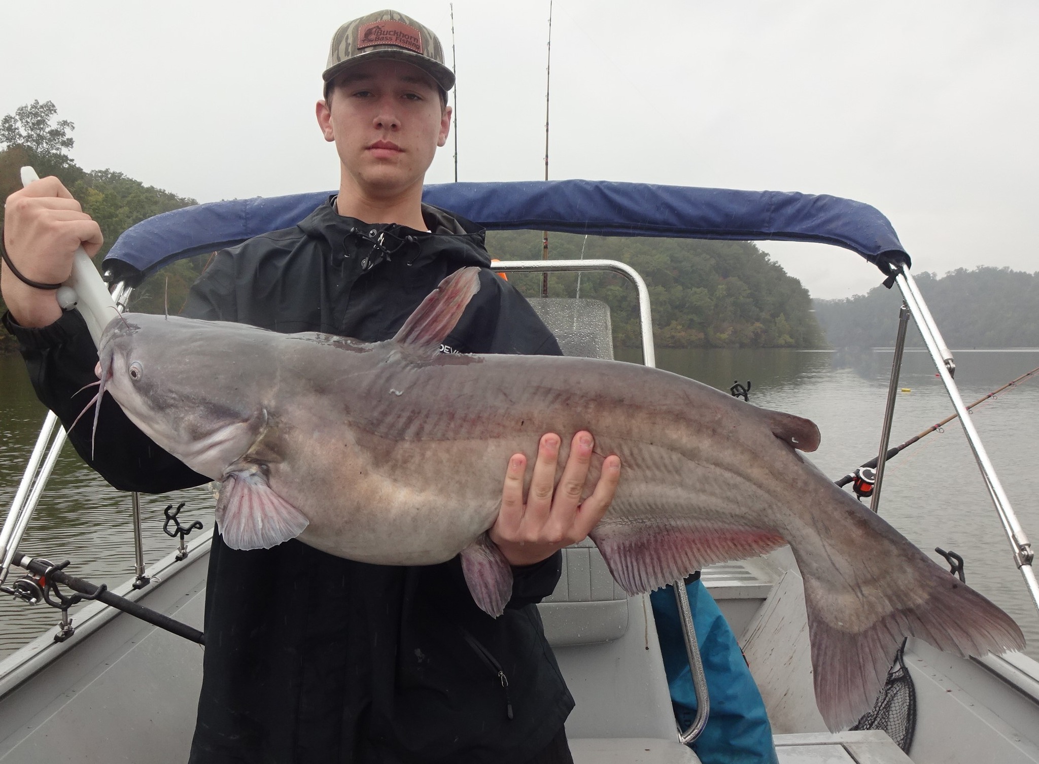 A photo of a blue catfish measuring 37 inches caught by an angler in Tennessee.